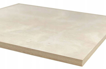 Sklejka liściasta suchotrwała 760x500 10 mm